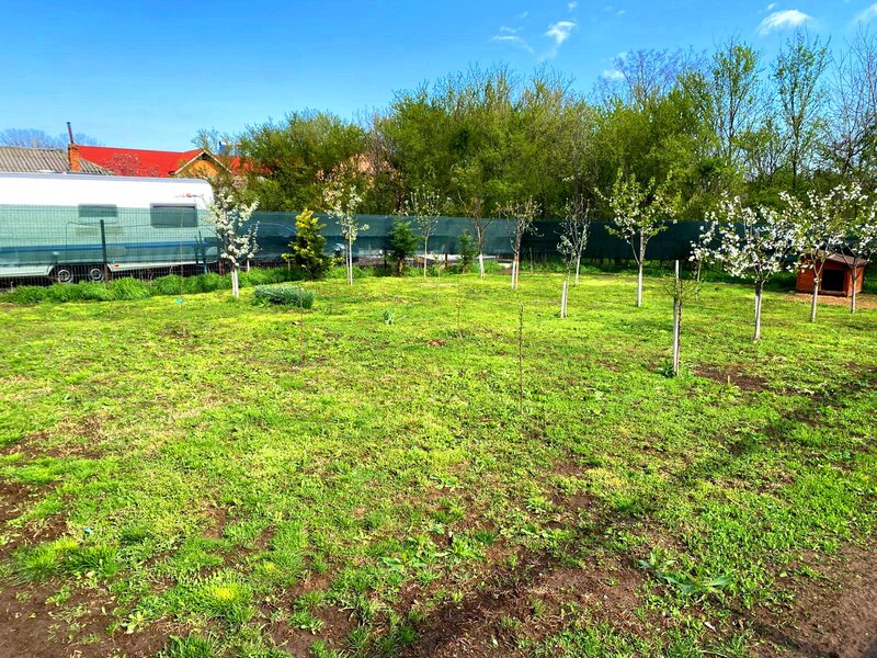 Snagov- central, teren 400mp